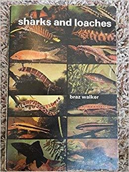 Sharks and Loaches (1974)