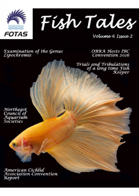 FOTAS_Fish_Tales_06.2