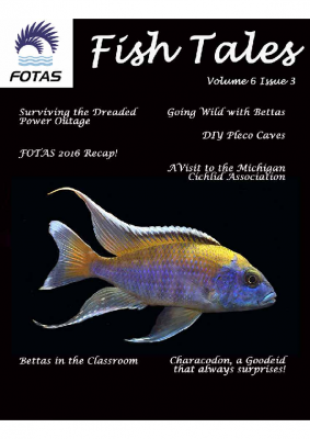 FOTAS_Fish_Tales_06.3