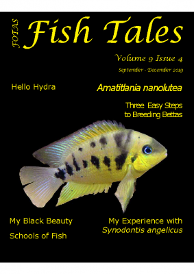FOTAS_Fish_Tales_09.4