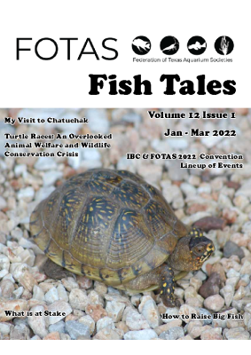 FOTAS_Fish_Tales_12.1